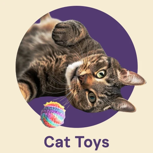 Cat Toys