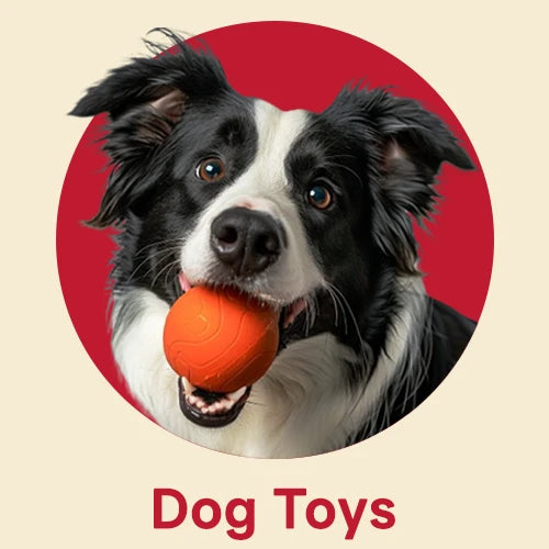 Dog Toys