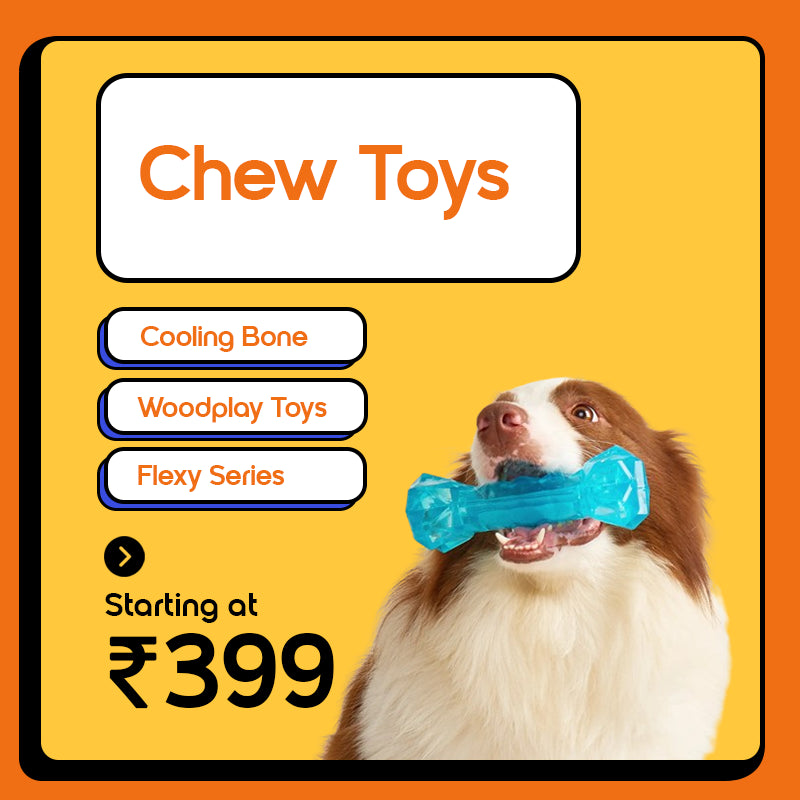 Fofos Chew Toys