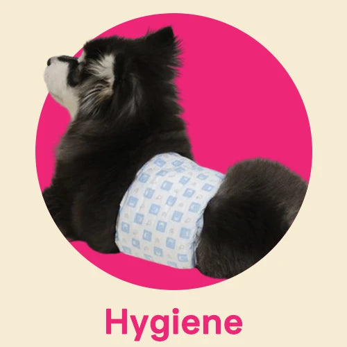 Hygiene