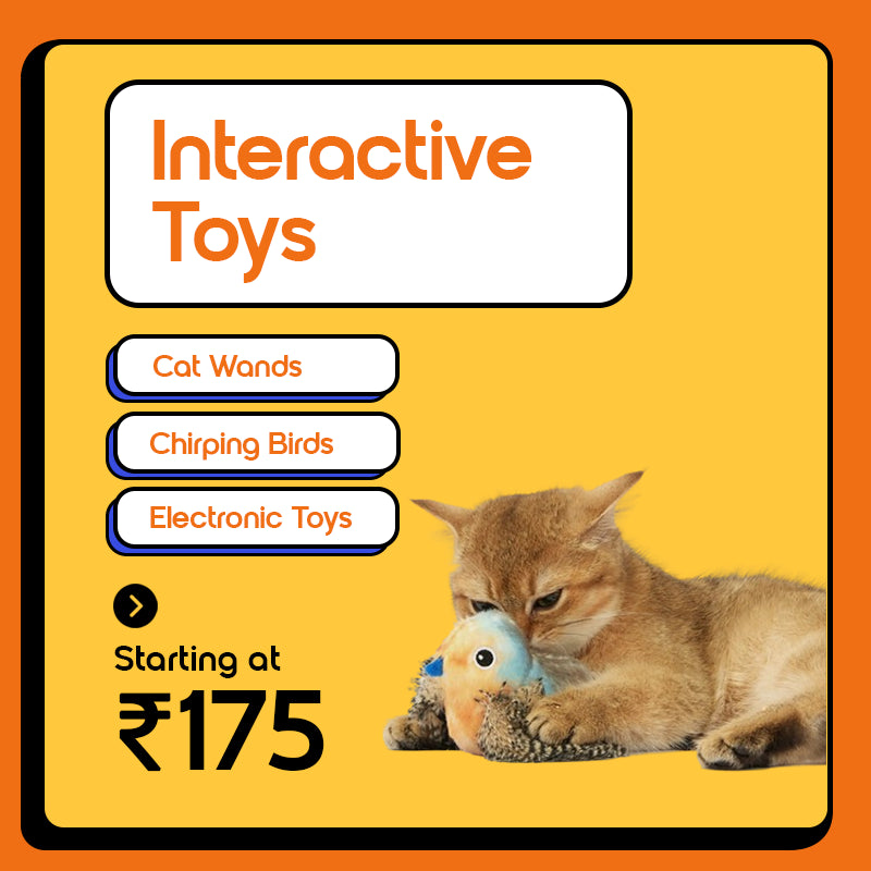 Fofos Interactive Toys