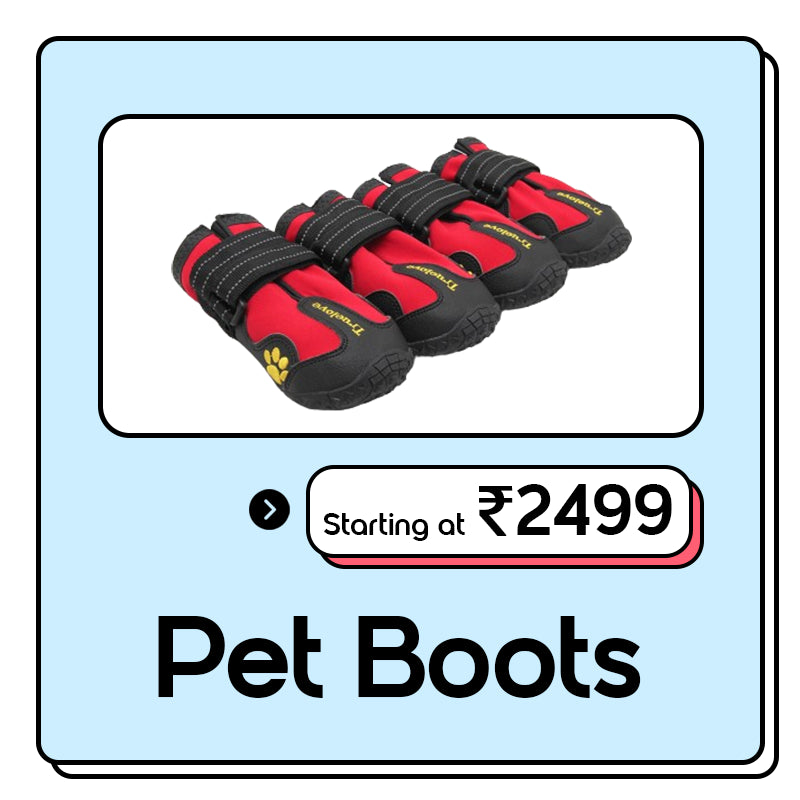 Truelove Pet Boots