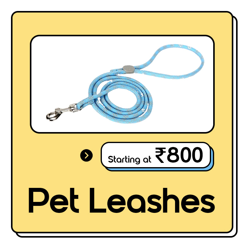 Truelove Pet Leash