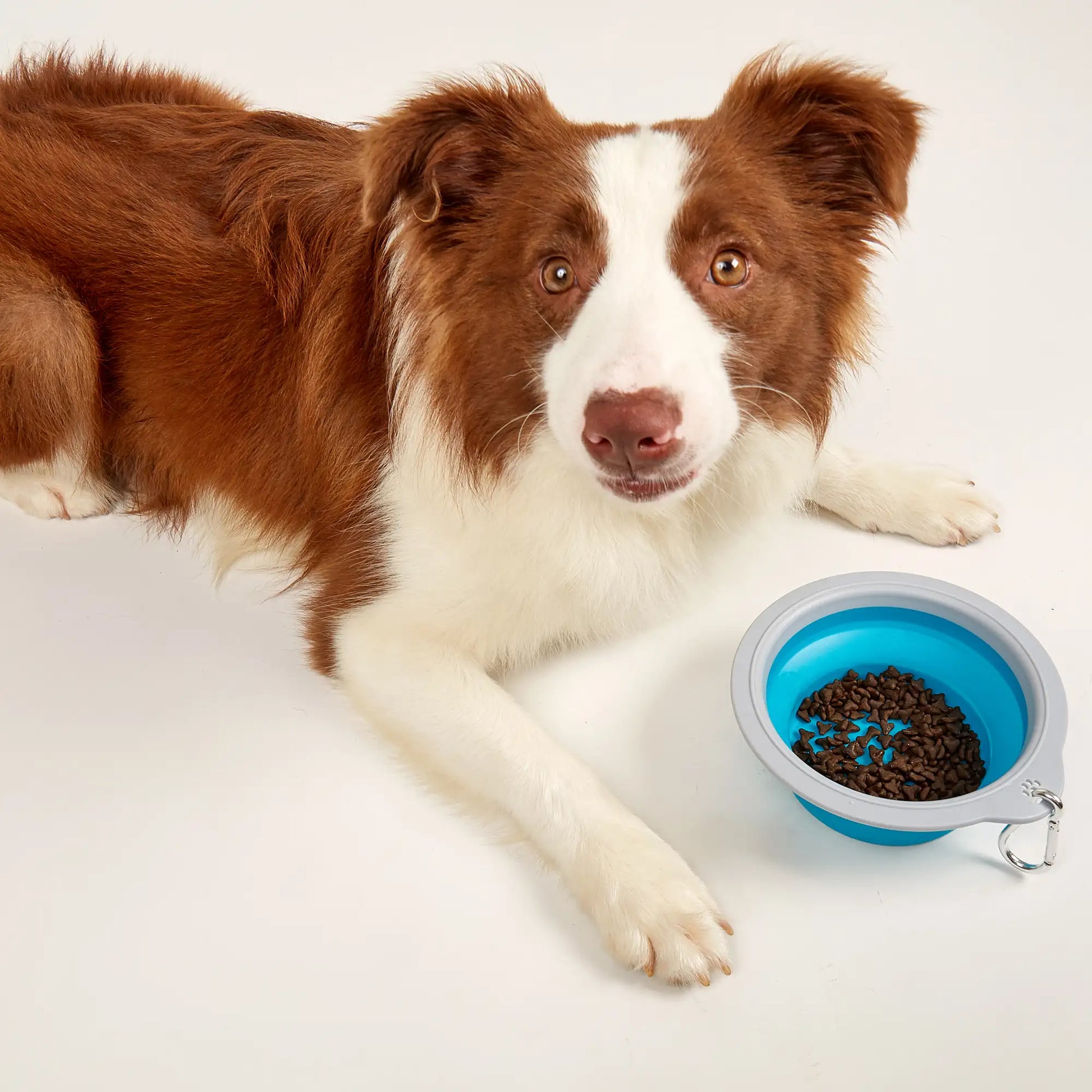 Snufflebum-fofos-collapsible-food-water-bowl-blue