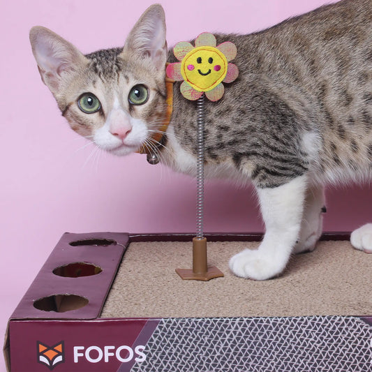Snufflebum-fofos-rock-&-roll-play-box