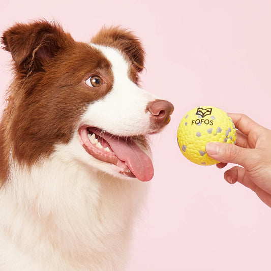 Snufflebum-fofos-super-bounce-ball-s-dog-toy