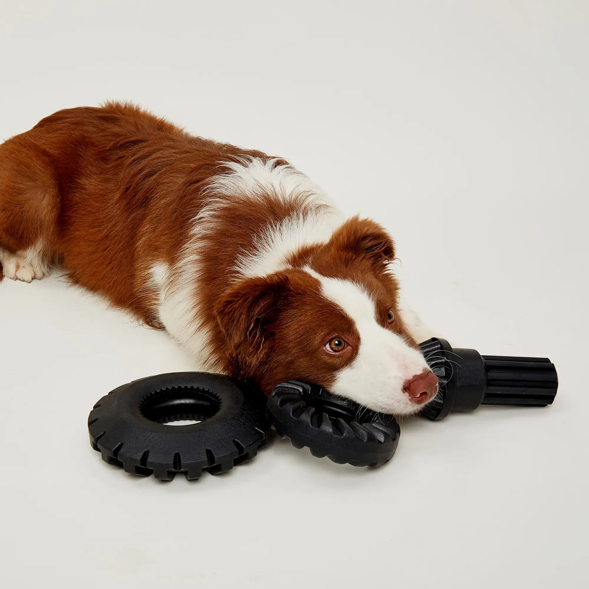 Snufflebum-fofos-tyre-large-toy-dog-toy