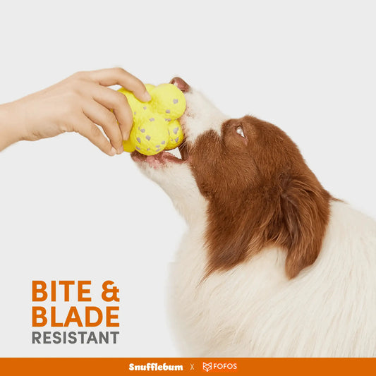 Snufflebum-fofos-ultra-durable-dog-ball