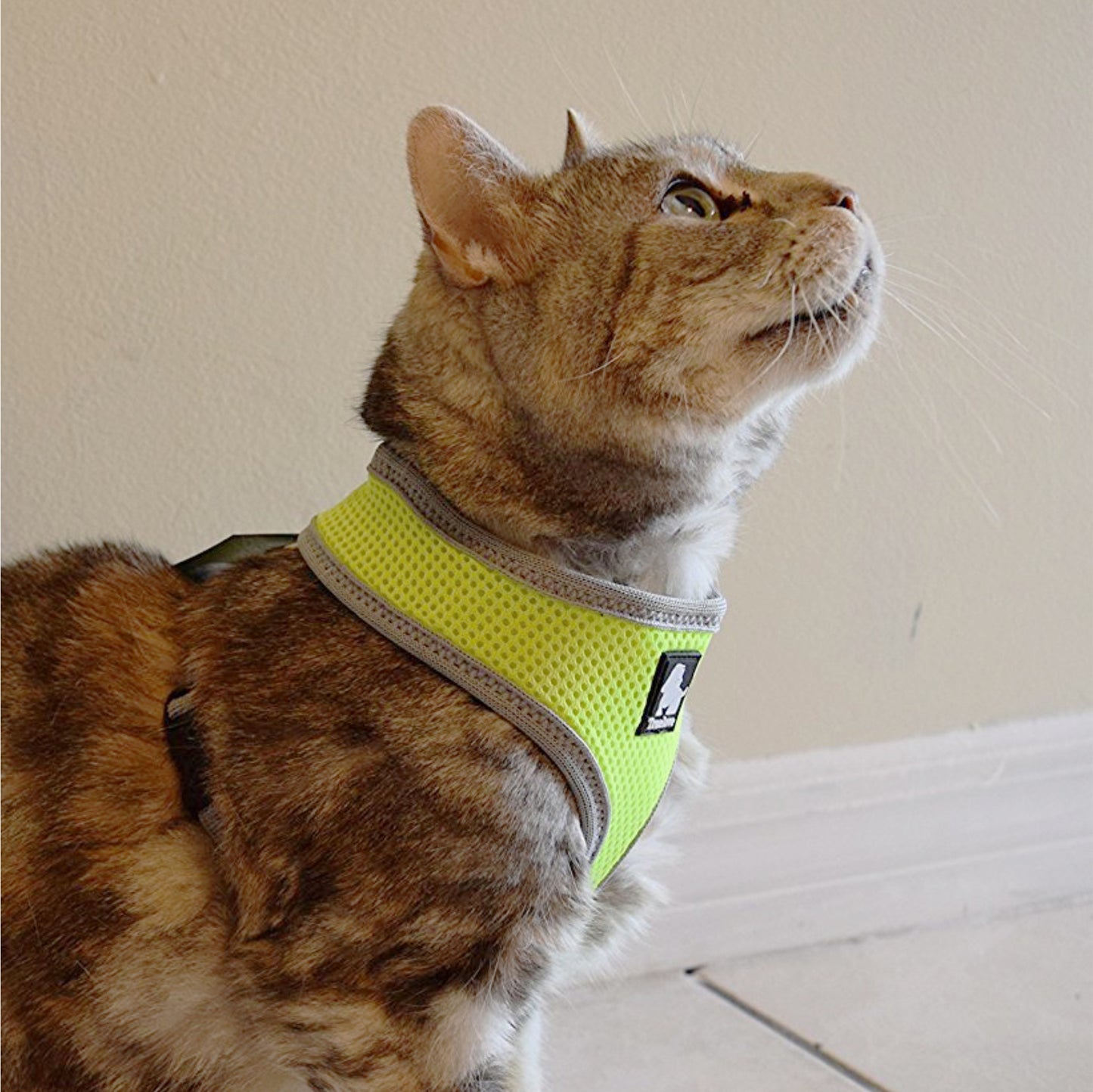 Truelove Harness for Cats & Dogs - Black