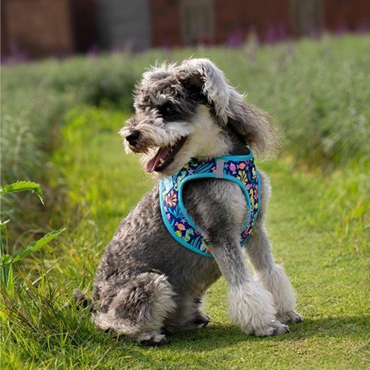 Truelove Floral Harness for Small & Medium Breeds