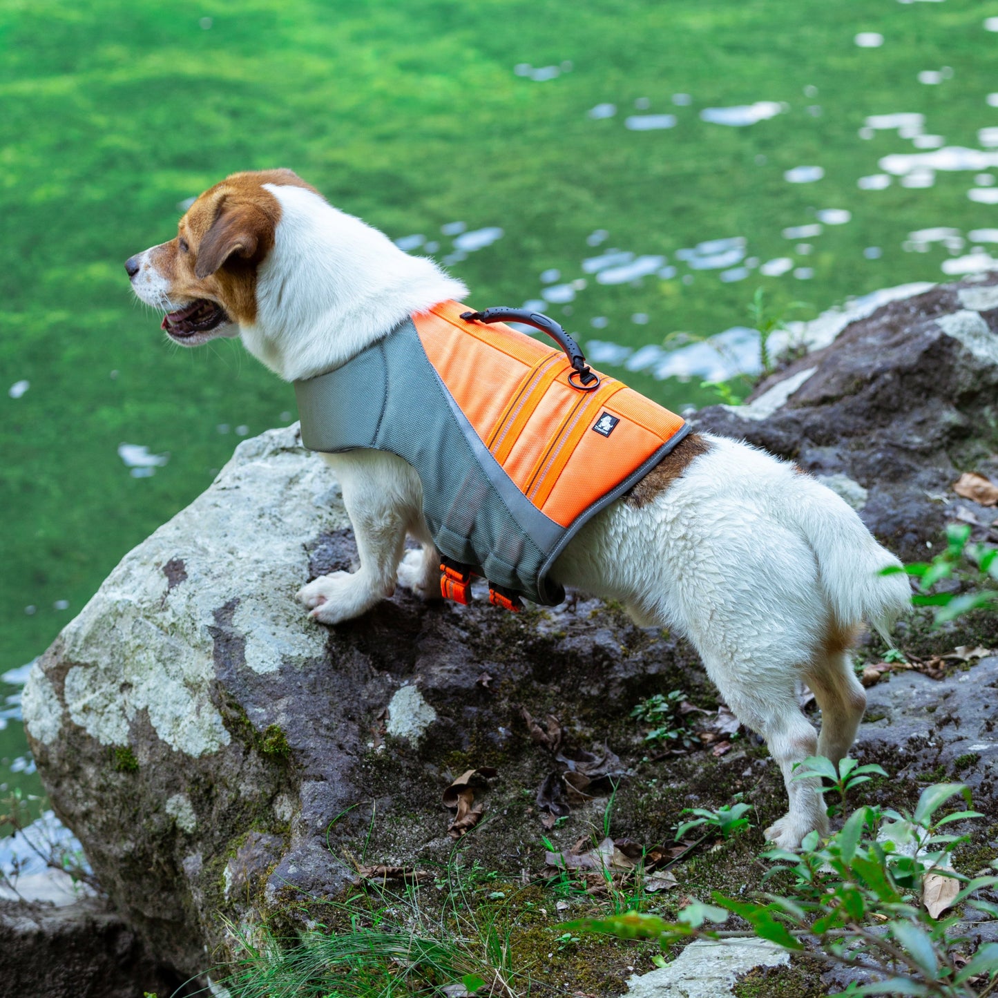 Truelove Life Jacket - Orange