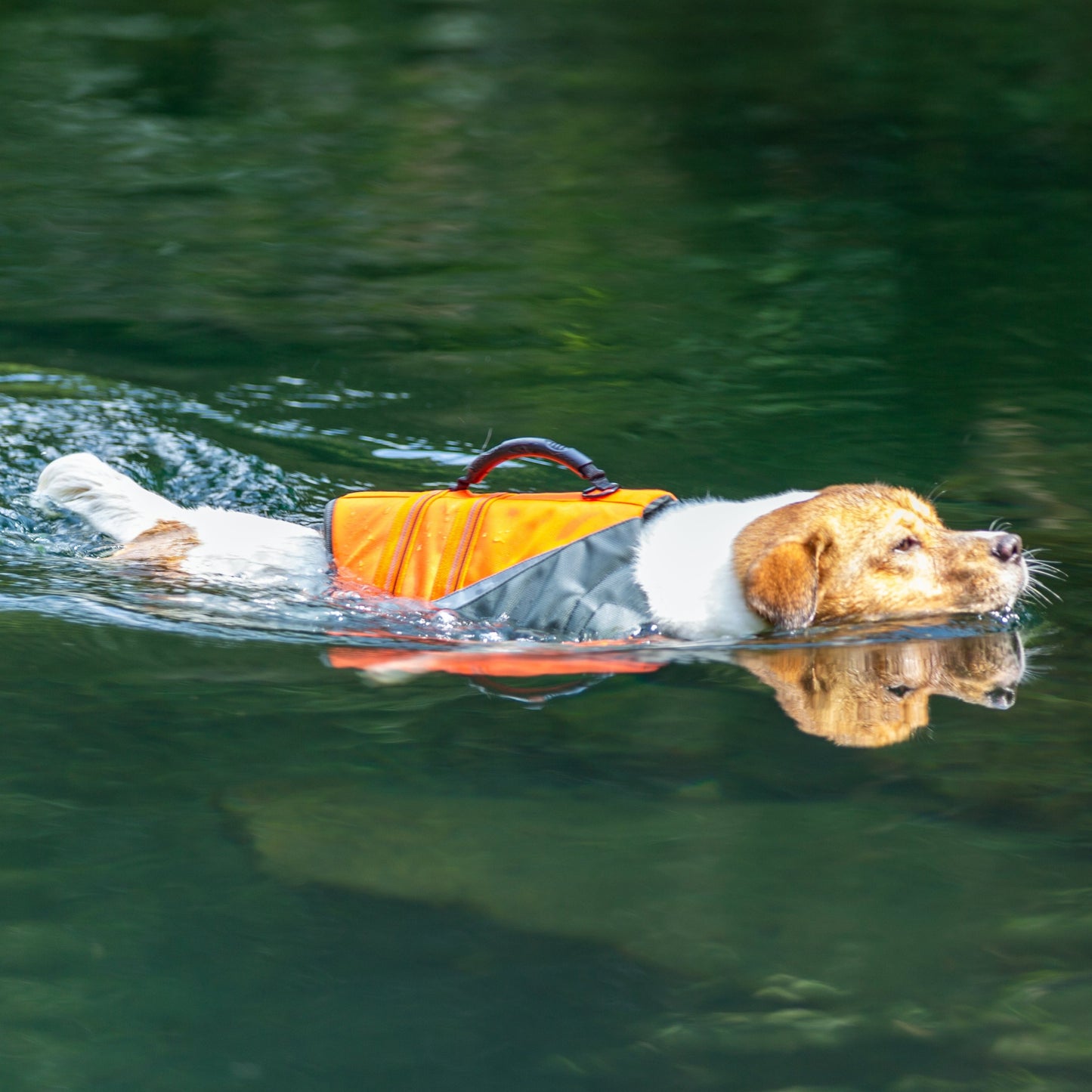 Truelove Life Jacket - Orange