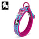 Truelove Neo-Padded Collar (Sky Blue - Fuchsia)