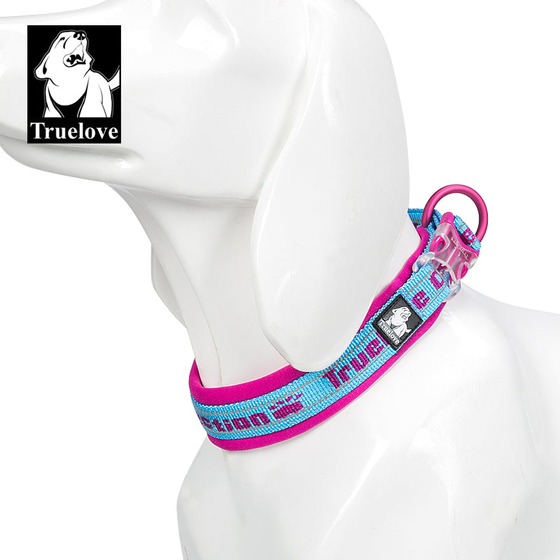 Truelove Neo-Padded Collar (Sky Blue - Fuchsia)