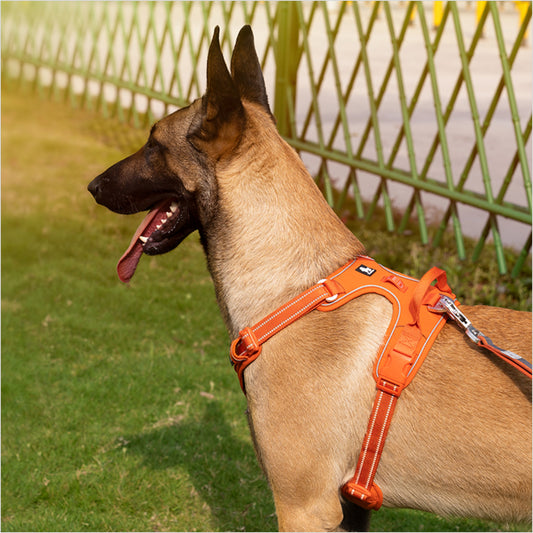 Truelove No-Pull Cordura Harness - Orange