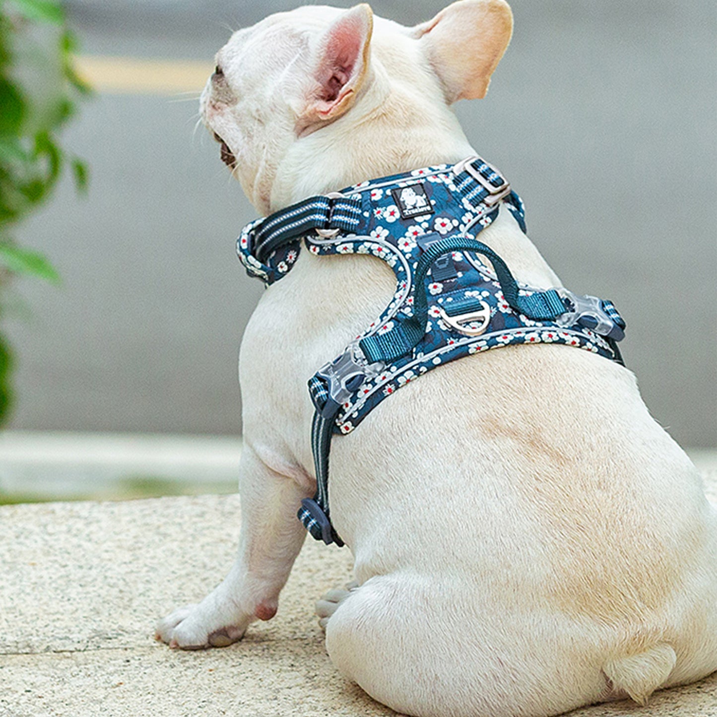 Truelove No-Pull Pet Harness - Floral Saxony Blue