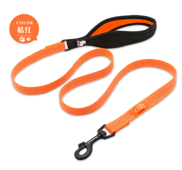 Truelove Nylon Leash - Orange