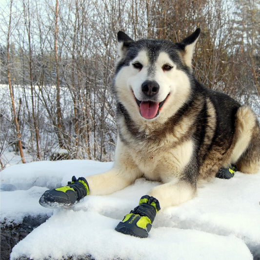 Truelove Pet Boots - Neon Yellow