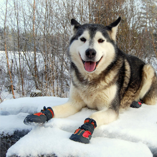 Truelove Pet Boots - Red