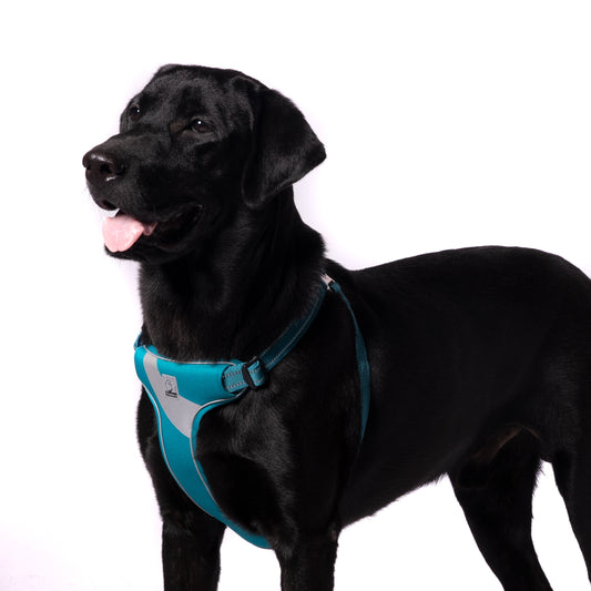 Truelove Step-in Reflective Harness - Blue