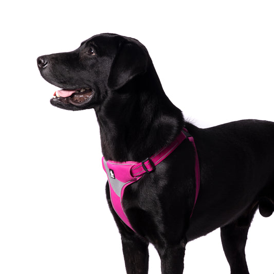 Truelove Step-in Reflective Harness - Fuchsia