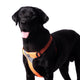 Truelove Step-in Reflective Harness - Orange