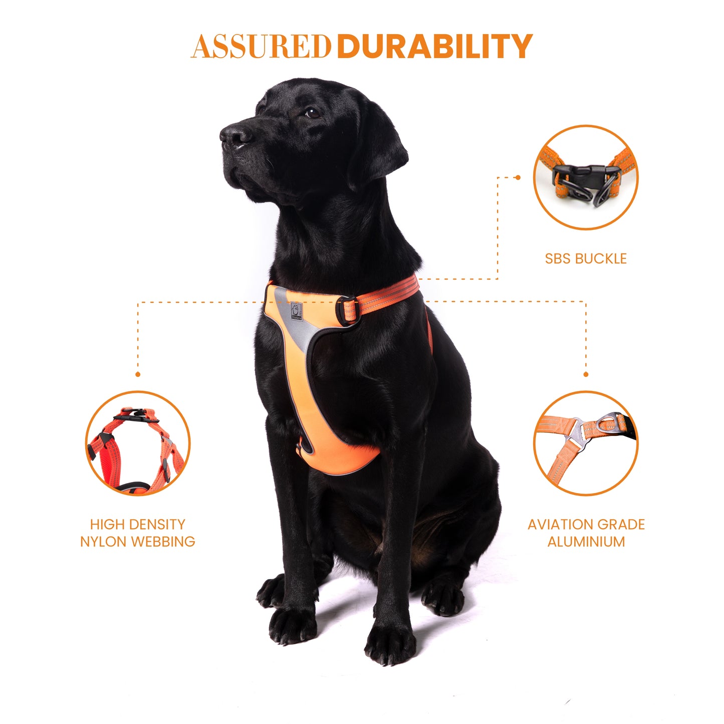 Truelove Step-in Reflective Harness - Orange