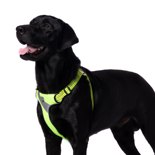 Truelove Step-in Reflective Harness - Yellow