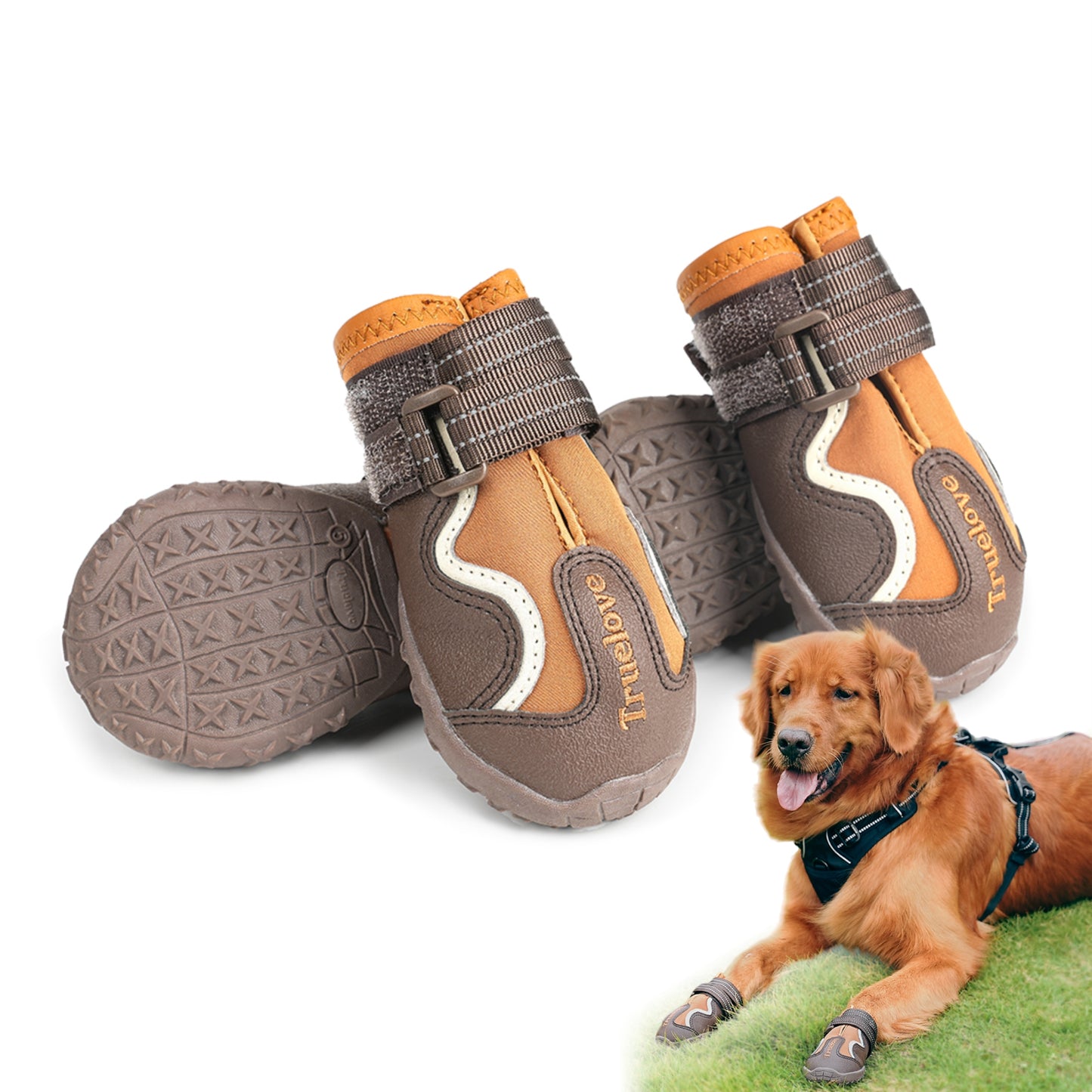 Truelove Water Resistant Dog Shoes