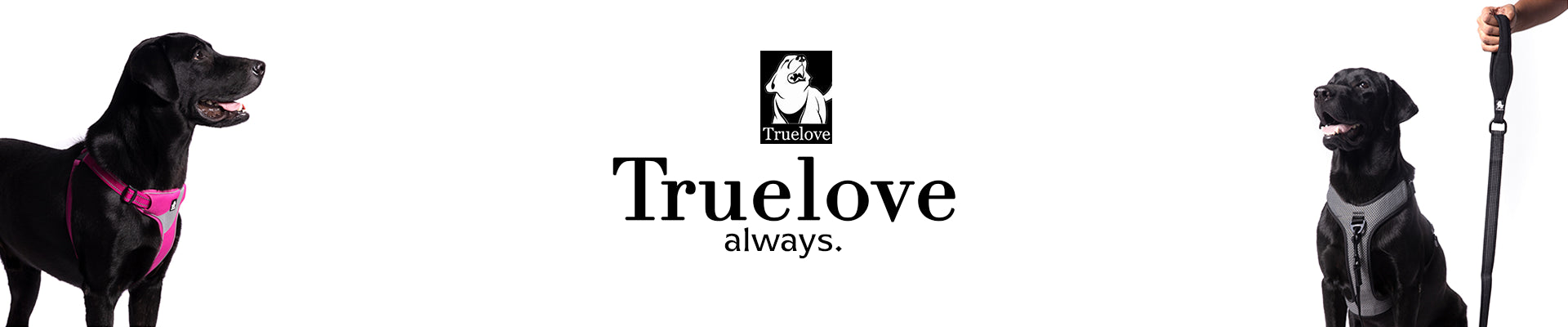 Truelove Banner