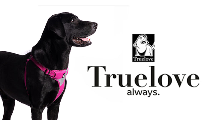 Truelove Mobile Banner